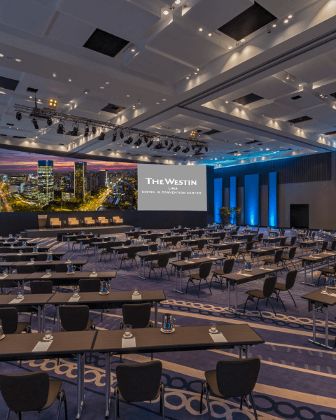 Experiencias únicas