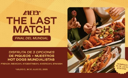 THE LAST MATCH Final del mundial