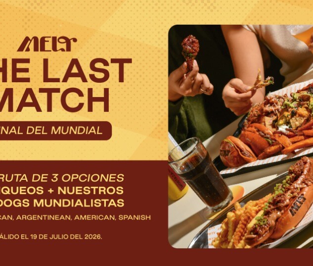 THE LAST MATCH Final del mundial